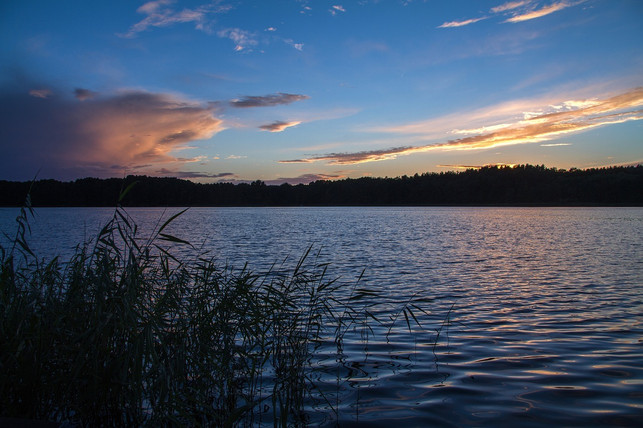 zahlreiche-seen-sind-gestaltgebend-fuer-den-mueritz-cc0-pixabay-kasabubu-201013_download Zahlreiche Seen sind gestaltgebend für den Müritz-Nationalpark.