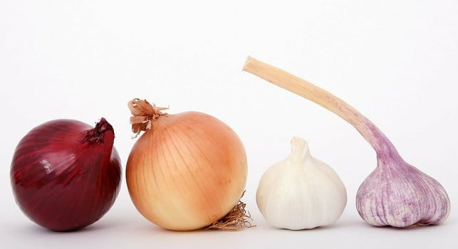 herzstaerkende-lebensmittel-zwiebeln-und-knoblauch-cc0-pixabay-shutterbug75-220202_download Herzstärkende Lebensmittel: Zwiebeln und Knoblauch.
