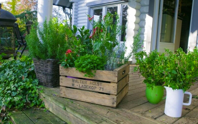 kiste urban gardening kiste urban gardening