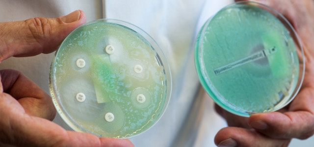Antibiotika-Resistenzen stellen ein großes Problem dar