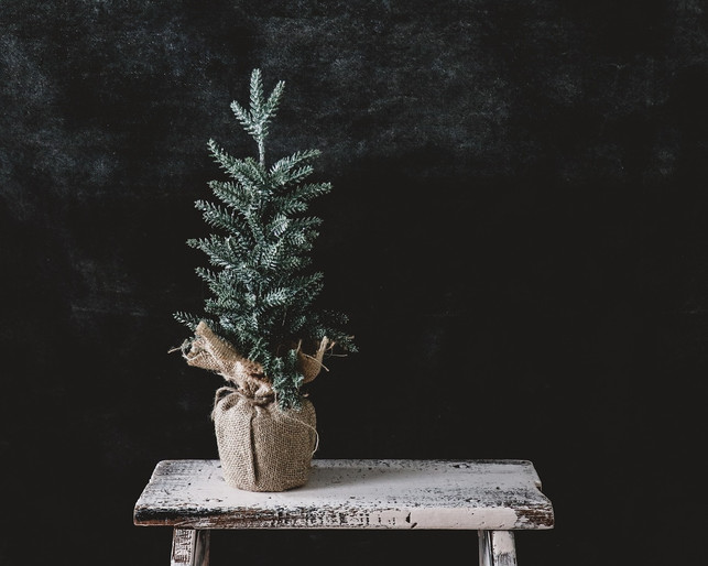 wiederverwendbare-weihnachtsbaeume-musst-du-nicht-e-cc0-pixabay-hudsoncrafted-250116_download Wiederverwendbare Weihnachtsbäume musst du nicht entsorgen.