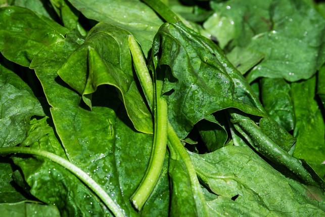 frischer-blattspinat-ist-die-hauptzutat-fuer-die-ve-cc0--pixabay--couleur-250723_download Frischer Blattspinat ist die Hauptzutat für die vegetarischen Blätterteigschnecken.