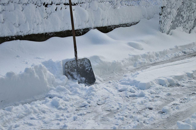 der-erste-schritt-bei-schnee-die-erde-freischaufe-cc0-pixabay-pasja1000-220512_download Der erste Schritt bei Schnee: Die Erde freischaufeln, um dann den Gartenboden aufwärmen zu können.