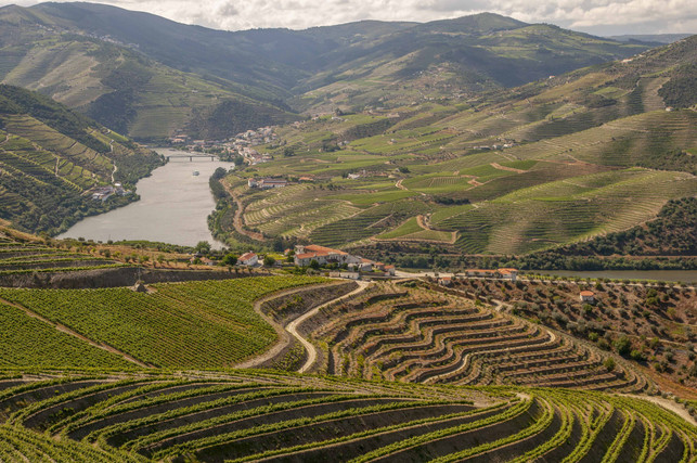 das-douro-tal-im-norden-portugals-beeindruckt-mit-cc0-pixabay-maczhb-250419_download Das Douro-Tal im Norden Portugals beeindruckt mit weiten Weinbergterrassen.