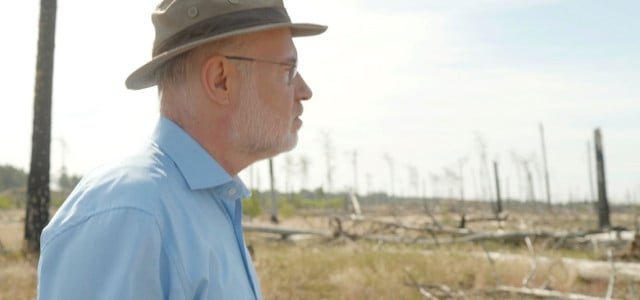 Harald Lesch