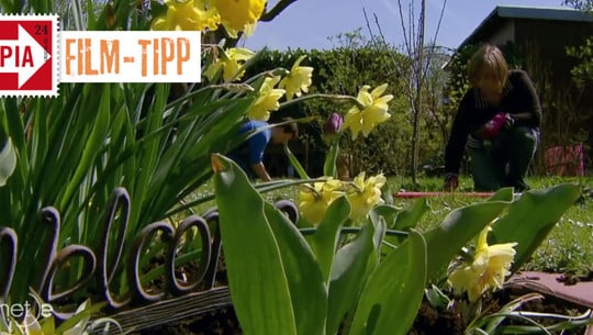 screenshot-zdf-181011