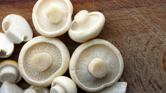 maipilze-cc0-unsplash-231859-221205 maipilze