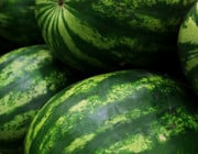 Wassermelone Haltbarkeit