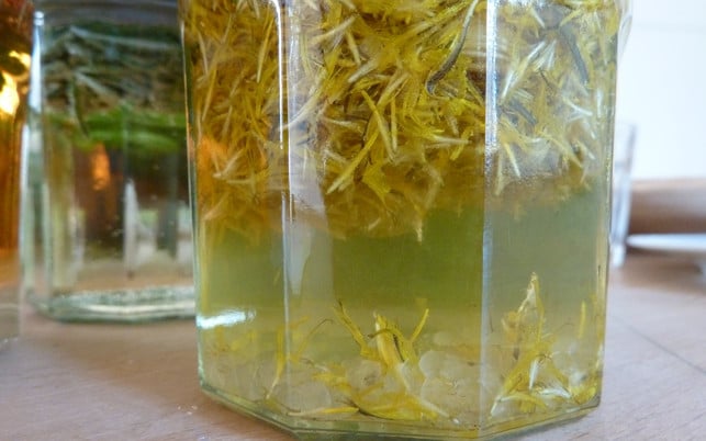 essbare-blueten-p-loewenzahn-schnaps-170502-1280x800 Essbare Blüten: Löwenzahn Schnaps