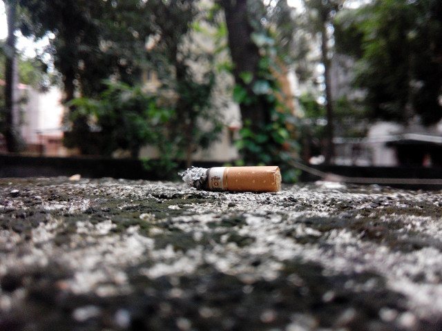 Smoking harms the body - cigarette butts harm the environment.