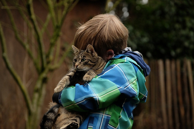 katzen-zeigen-meist-klar-wenn-sie-nicht-mehr-kusc-cc0-pixabay-westfale-191221_download Katzen als Haustiere zeigen Kindern meist klar, wenn sie nicht mehr kuscheln wollen.