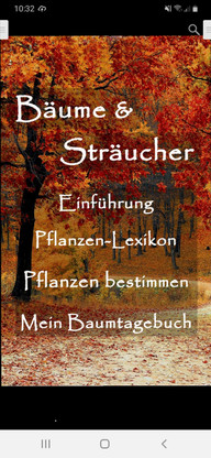 mit-der-app-baeume-und-straeucher-baeume-bestimmen-screenshot-chantal-gilbrichutopia-200212_download Mit der App "Bäume und Sträucher" Bäume bestimmen.
