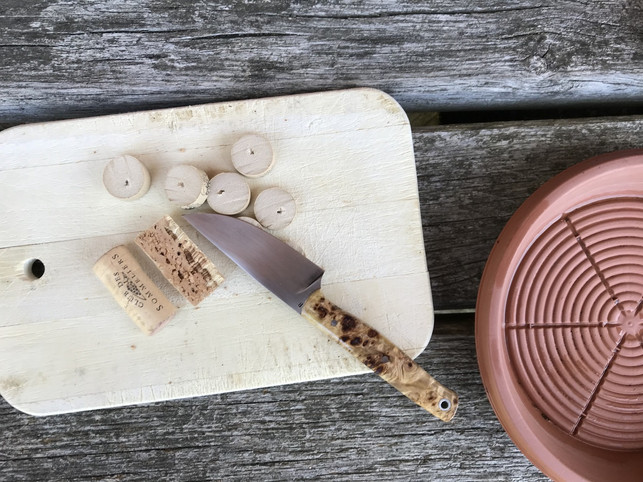 fuer-eine-bienentraenke-brauchst-du-nur-ein-flaches-utopia-anna-grimmer-190627_download Für eine Bienentränke brauchst du nur ein flaches Gefäß und Landeflächen, zum Beispiel Scheiben aus alten Korken.