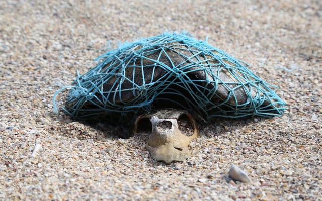 plastik-im-meer-schildkroete-geisternetz-z-blue-the-film-190718-1000x625 Schildkröte stirbt in Geisternetz