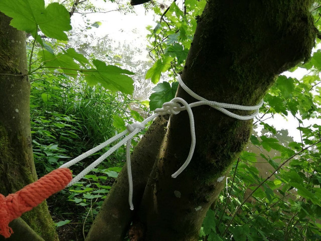 binde-dein-seil-ueber-kreuz-so-verhinderst-du-das-victoria-clauss-utopia-210612_download Binde dein Seil über Kreuz. So verhinderst du, dass es an der Rinde herunterrutscht.