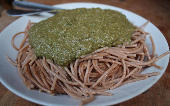 lecker-zubereiteter-spinat-passt-bestens-zu-vollko-pascal-thiele-utopiade-190105 Lecker zubereiteter Spinat passt bestens zu Vollkorn-Spaghetti.