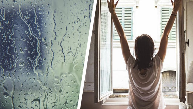 Hohe Luftfeuchtigkeit trotz Lüften: Daran kann es liegen und das hilft Hohe Luftfeuchtigkeit trotz Lüften