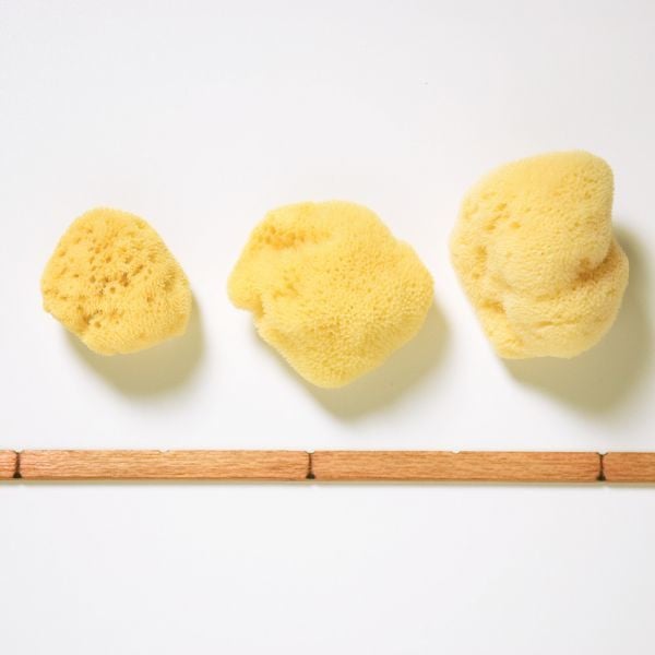 3er-set-menstruationsschwaemmchen-von-kulmine-kulmine-191230_download 3er-Set Menstruationsschwämmchen von Kulmine