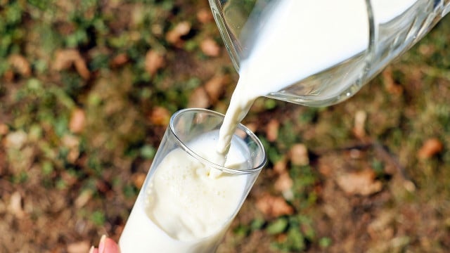 rohmilch-rohmilchkaese-cc0-pixabay-couleur-231130 rohmilch rohmilchkäse