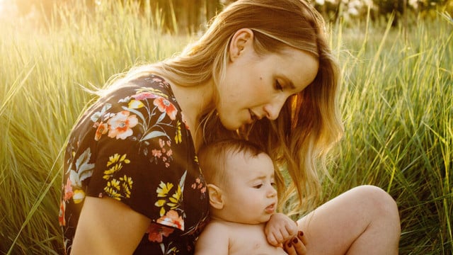 estragol-cc0-pixabay-pexels-250407 Estragol