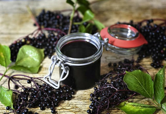 holunderbeeren-kannst-du-nach-dem-pfluecken-zu-gele-cc0-pixabay-ritae-220522_download Holunderbeeren kannst du nach dem Pflücken zu Gelee oder Sirup verarbeiten.