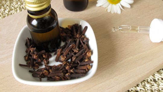 nelkenoel-colourboxde-181108 Nelkenöl