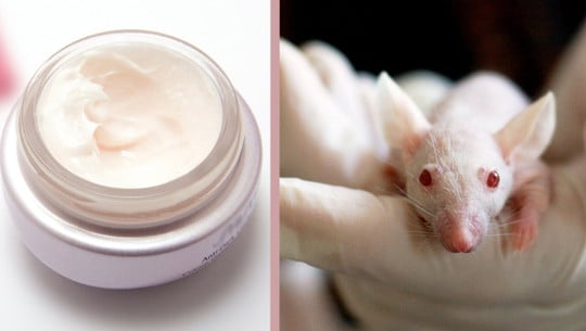 kosmetik-ohne-tierversuche-erkennen-cc0-pb-stux_tiburi_210208-1280x720 Kosmetik ohne Tierversuche erkennen