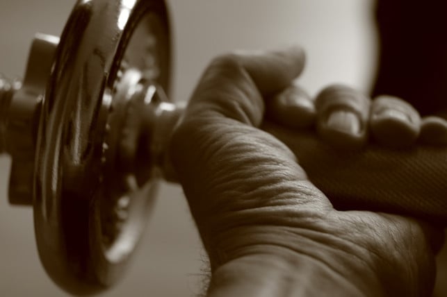 kreatin-monohydrat-kann-bei-kurzen-und-intensiven-cc0-pixabay-joa70-220515_download Creatin-Monohydrat kann bei kurzen und intensiven Trainingseinheiten die Muskelermüdung verzögern.