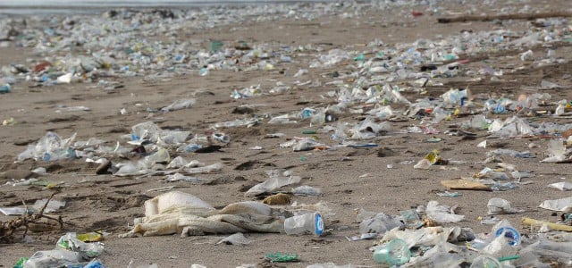 plastikverschmutzung
