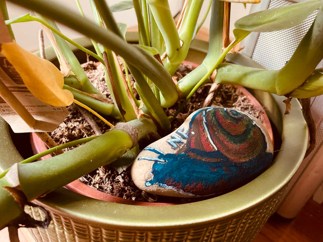 steine-kannst-du-auch-zur-entspannung-und-zur-deko-nele-finke-utopia-210805_download Steine kannst du auch zur Entspannung und zur Dekoration bemalen.