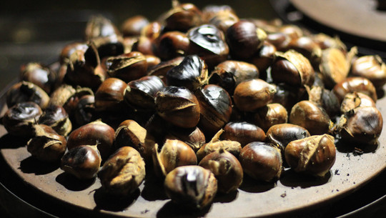 maroni-sammeln-cc0--pixabay--sgrunden-250911 Maroni sammeln