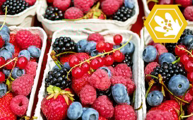 bienensterben-auswirkung-obst-pb-Couleur-180515-1280x800 Bienensterben: Dinge, die es nicht mehr gibt, wenn die Bienen sterben.