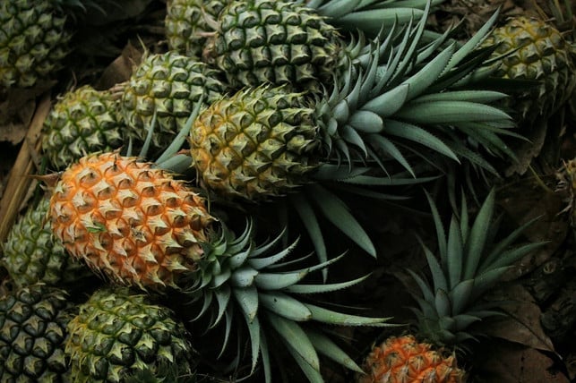 flugananas-sind-sehr-schaedlich-fuers-klima-cc0-pixabay-senjakelabu29-240618_download Flugananas sind sehr schädlich fürs Klima