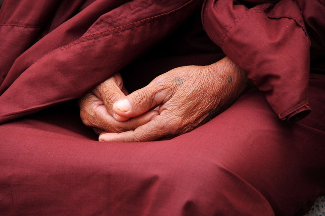 zur-vipassanameditation-gibt-es-unterschiedliche-a-cc0-pixabay-terimakasih0-201103_download Zur Vipassanameditation gibt es unterschiedliche Ansätze von verschiedenen buddhistischen Gelehrten.