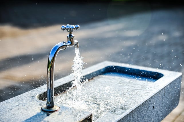 bei-beruehrung-mit-dem-aronstab-solltest-du-die-bet-cc0--pixabay--jonaskim-250811_download Bei Berührung mit dem Aronstab solltest du die betroffene Stelle unter fließendem Wasser abspülen.