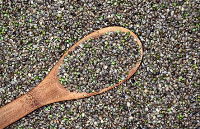 hanfprotein-wird-aus-den-hanfsamen-gewonnen-cc0-pixabay-ulleo-200204_download Hanfproteine lösen kaum Allergien aus.
