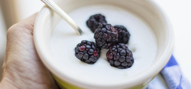 Jeden Tag Joghurt: Das sind die Folgen (Foto: CC0 Public Domain / Pixabay.de – Terri Cnudde) Hand hält eine Schale mit weißem Joghurt, darin liegen vier Brombeeren, ein silberner Löffel steckt in der Schale.