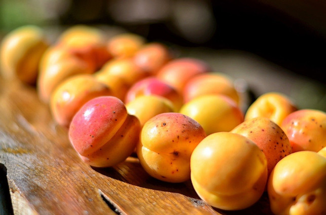 die-entkernten-aprikosen-werden-mit-marzipan-gefuel-cc0-pixabay-kareni-200922_download Die entkernten Aprikosen werden mit Marzipan gefüllt.