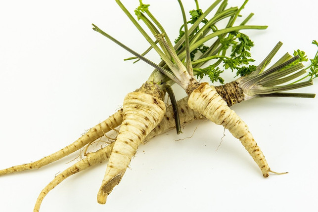die-petersilienwurzel-kannst-du-auch-roh-verzehren-cc0-pixabay-filipfilipovic-200116_download Petersilienwurzel kommt mit wenigen aromatischen Grundzutaten aus – die Petersilienwurzel selbst ist die wichtigste.