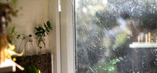 Spinne mit Essig vertreiben