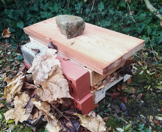 Processed with VSCO with preset Aus einem Holzbrett, Backsteinen und Herbstlaub kannst du deinem Igelhaus ein Dach und eine Wärmeisolierung bauen.