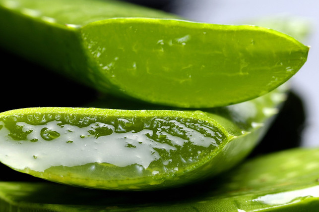 Aloe-Vera-gel helps against the symptoms of a sun allergy.