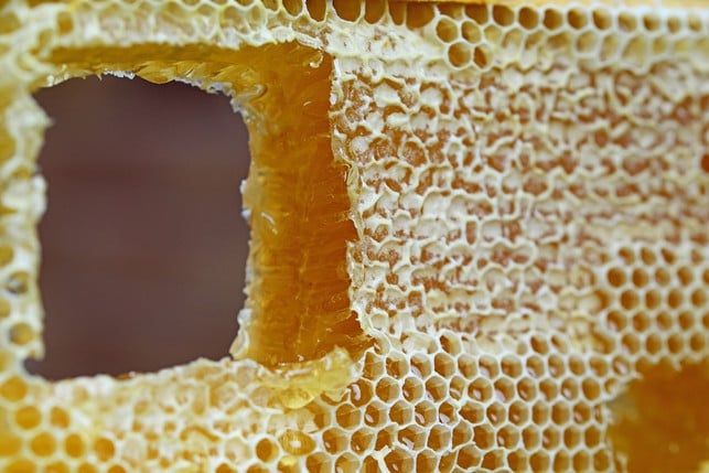 bienenwachs-soll-eine-schutzbarriere-fuer-die-haut-cc0-pixabay-pollydot-191025_download Bienenwachs soll eine Schutzbarriere für die Haut bieten.