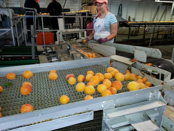 When food is processed, chlorate can pass into food.