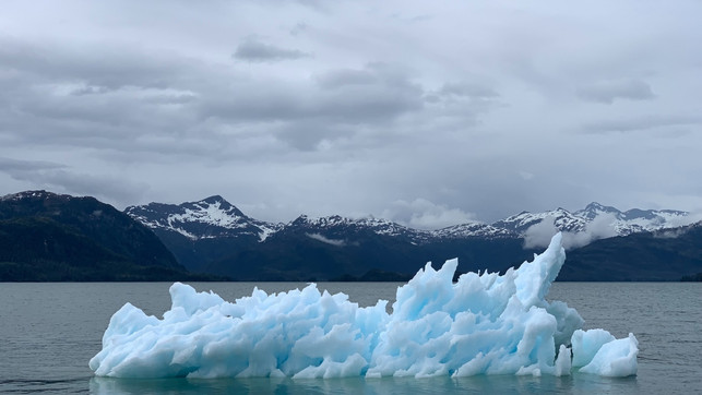 Hirschhausen Bild 2 TK Weltverbesserer Hirschhausen