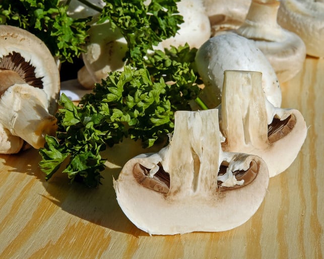 rohe-champignons-bringen-einen-frischen-geschmack-cc0-pixabay-couleur-190403_download Rohe Champignons bringen einen frischen Geschmack und ein kräftiges Aroma an jeden Salat.