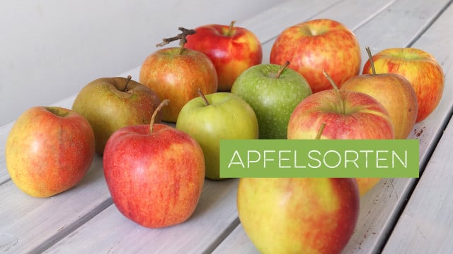 Apfelsorten Apfelsorten