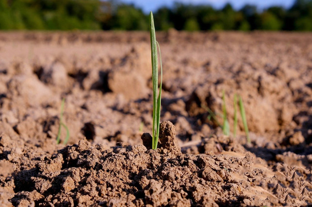 grobkoernige-boeden-aus-lehm-oder-sand-sind-tragfaehi-cc0-pixabay-music4life-200422_download Grobkörnige Böden aus Lehm oder Sand sind tragfähiger als tonige Böden.