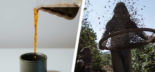 Tchibo, Melitta und Co. bei Stiftung Warentest und Öko-Test: Wie gut und fair ist Kaffee?