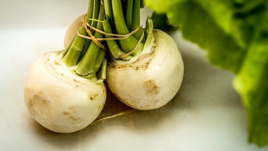 mairuebchen-roh-essen-cc0-pixabay-stux-210730 Mairübchen roh essen